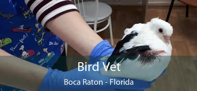 Bird Vet Boca Raton - Florida