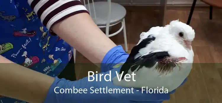 Bird Vet Combee Settlement - Florida