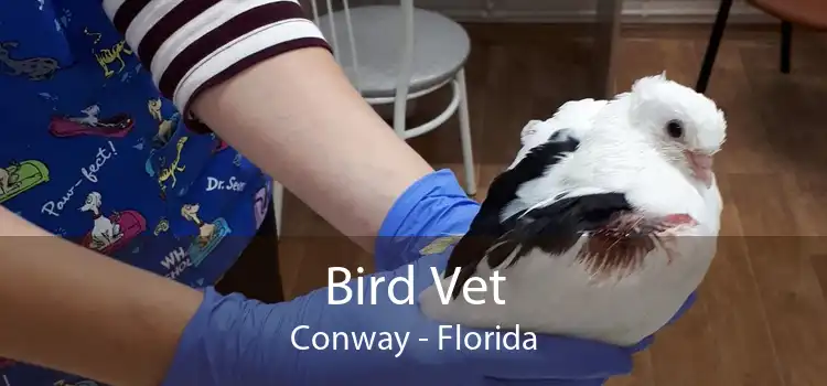 Bird Vet Conway - Florida