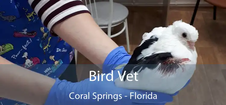 Bird Vet Coral Springs - Florida