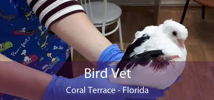 Bird Vet Coral Terrace - Florida