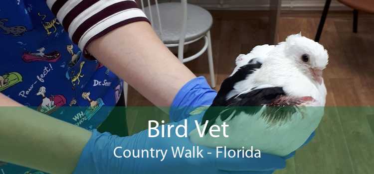 Bird Vet Country Walk - Florida