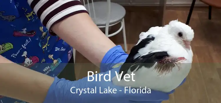 Bird Vet Crystal Lake - Florida