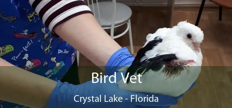 Bird Vet Crystal Lake - Florida