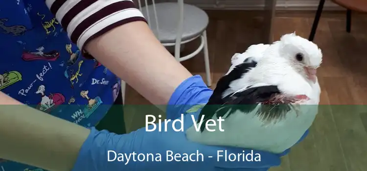 Bird Vet Daytona Beach - Florida