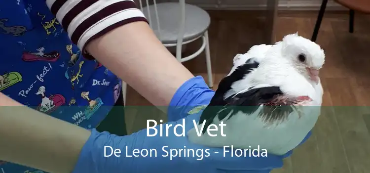 Bird Vet De Leon Springs - Florida