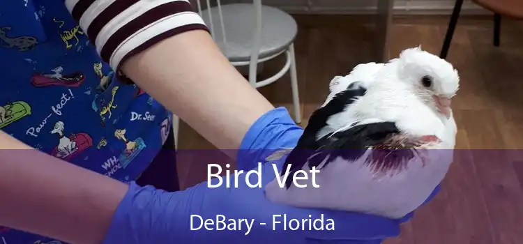 Bird Vet DeBary - Florida