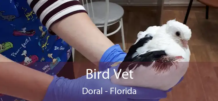 Bird Vet Doral - Florida