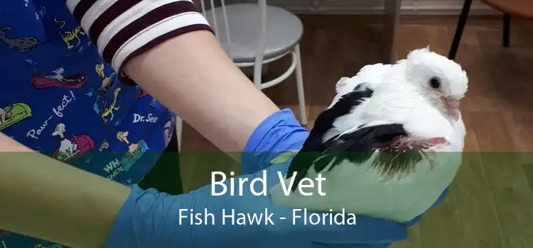Bird Vet Fish Hawk - Emergency Exotic Avian Vet Near Me