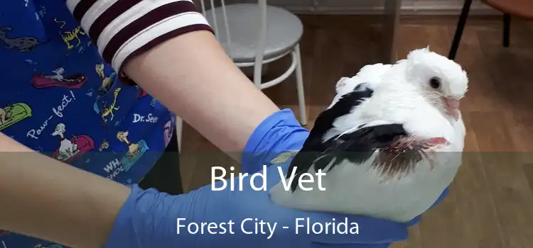 Bird Vet Forest City - Florida