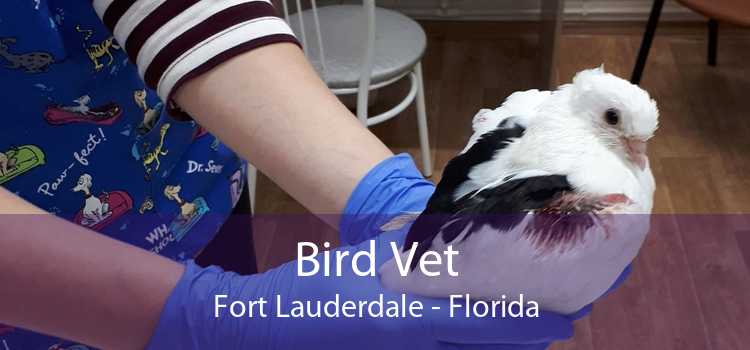 Bird Vet Fort Lauderdale - Florida