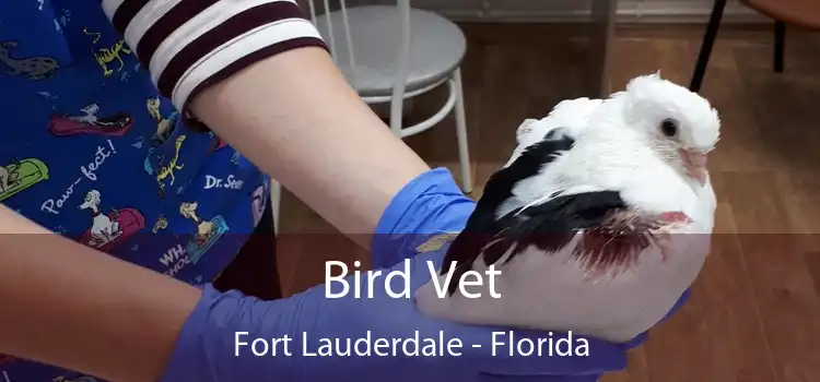 Bird Vet Fort Lauderdale - Florida