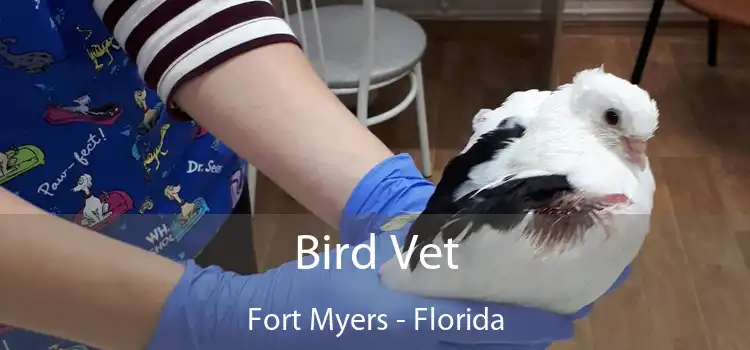 Bird Vet Fort Myers - Florida