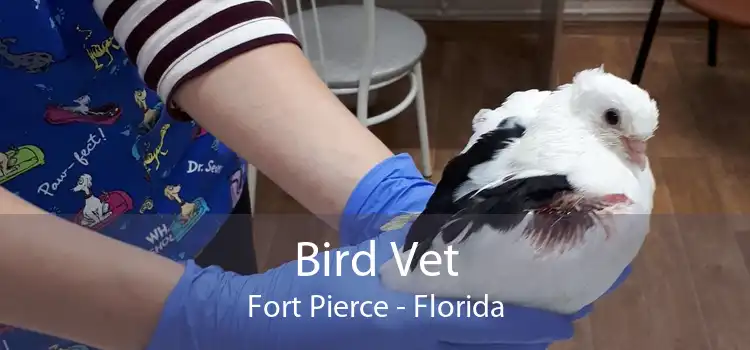 Bird Vet Fort Pierce - Florida