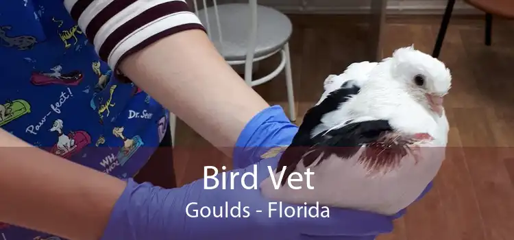 Bird Vet Goulds - Florida