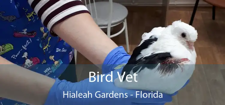 Bird Vet Hialeah Gardens - Florida