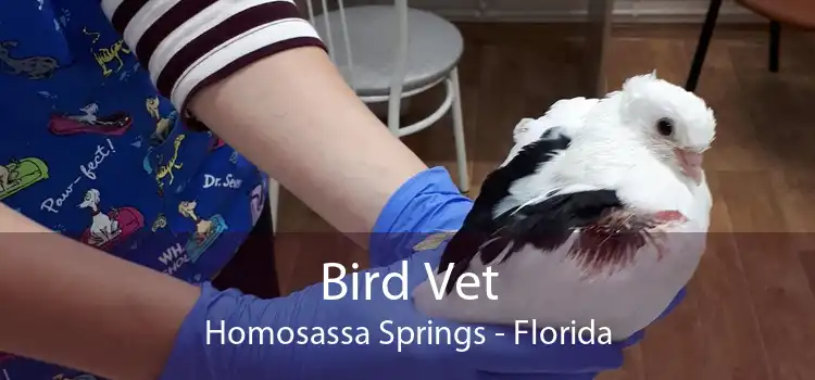 Bird Vet Homosassa Springs - Florida