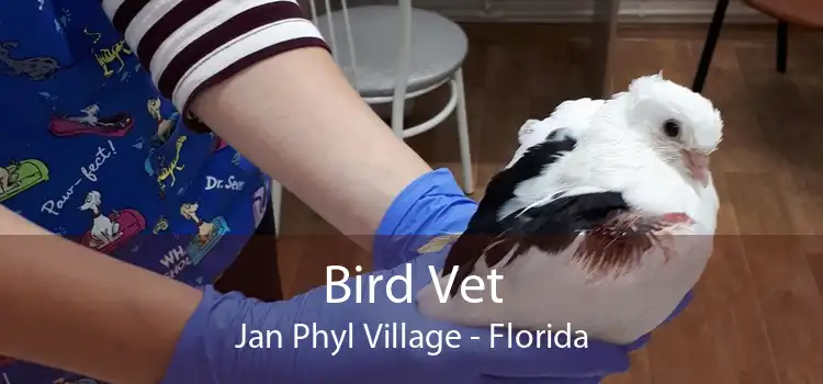 Bird Vet Jan Phyl Village - Florida