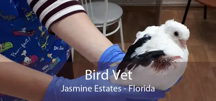 Bird Vet Jasmine Estates - Florida