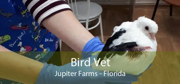 Bird Vet Jupiter Farms - Florida