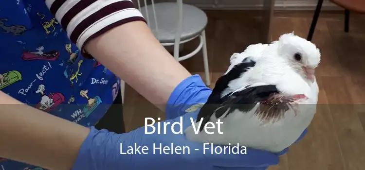 Bird Vet Lake Helen - Florida