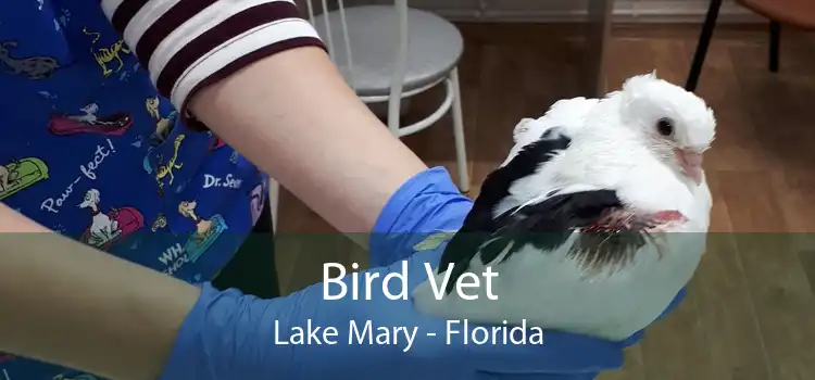 Bird Vet Lake Mary - Florida