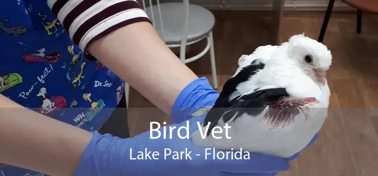 Bird Vet Lake Park - Florida