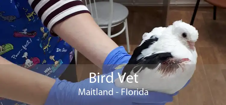 Bird Vet Maitland - Florida