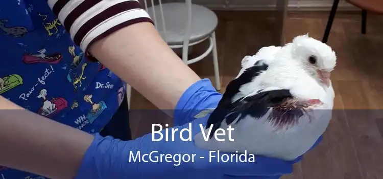 Bird Vet McGregor - Florida