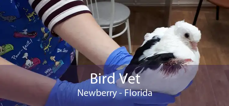 Bird Vet Newberry - Florida