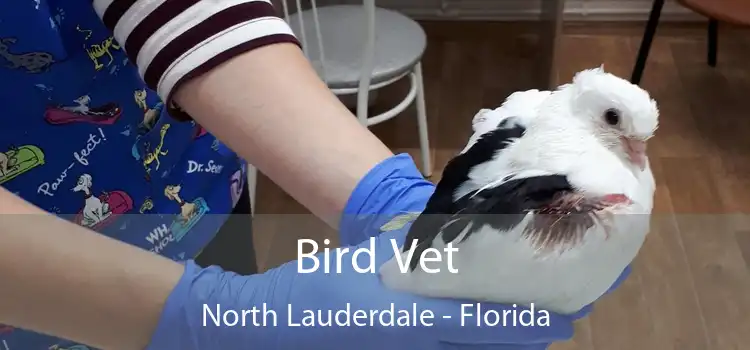 Bird Vet North Lauderdale - Florida