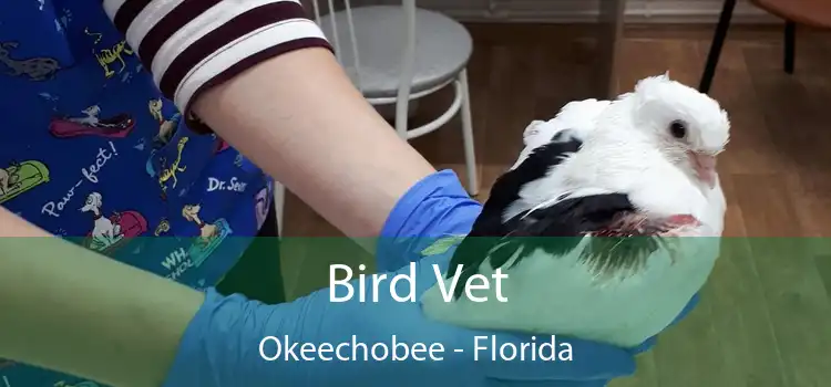 Bird Vet Okeechobee - Florida