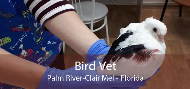 Bird Vet Palm River-Clair Mel - Florida