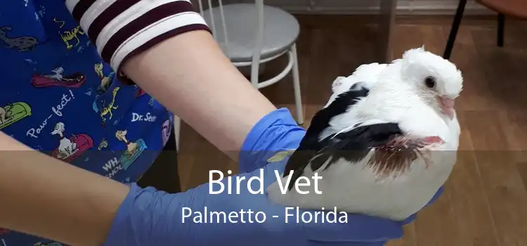 Bird Vet Palmetto - Florida