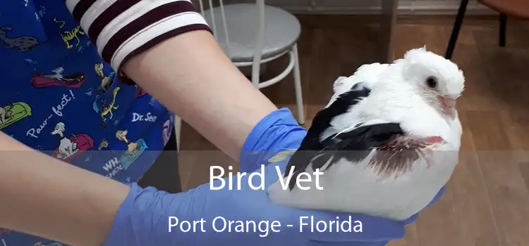 Bird Vet Port Orange - Florida