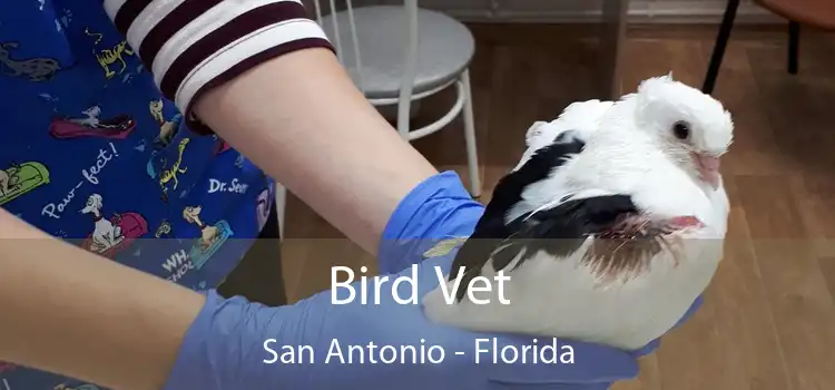 Bird Vet San Antonio - Florida