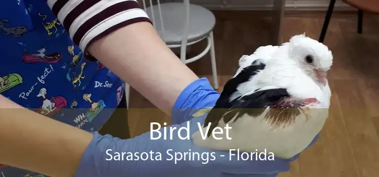 Bird Vet Sarasota Springs - Florida