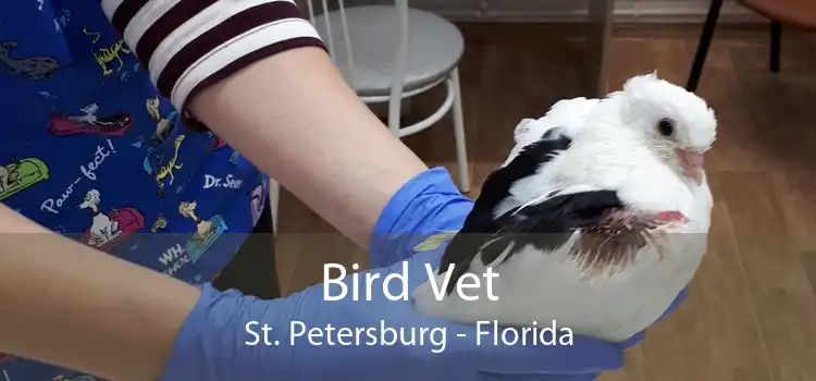Bird Vet St. Petersburg - Florida