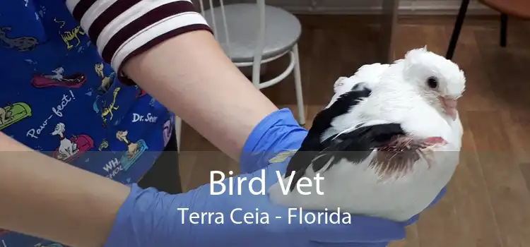 Bird Vet Terra Ceia - Florida