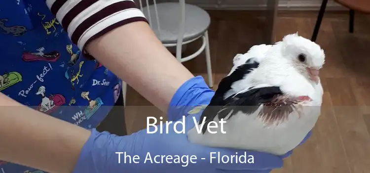 Bird Vet The Acreage - Florida