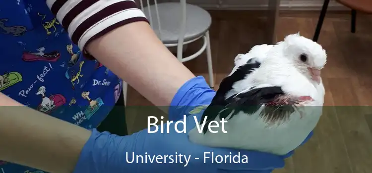 Bird Vet University - Florida