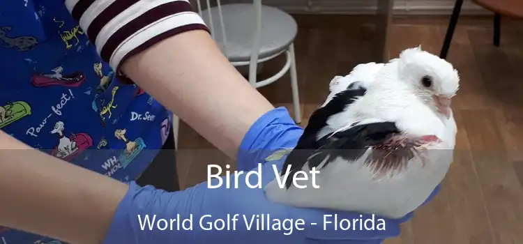 Bird Vet World Golf Village - Florida