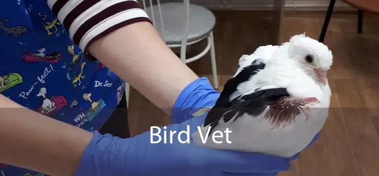 Bird Vet 