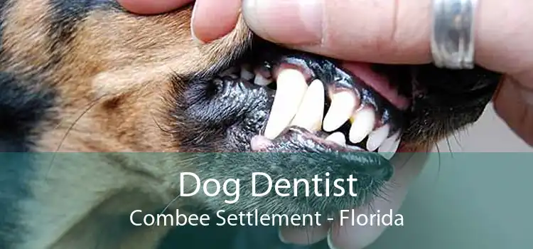 Dog Dentist Combee Settlement - Florida