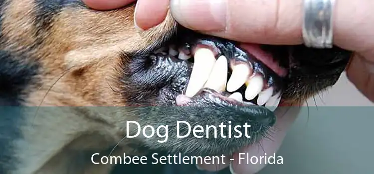 Dog Dentist Combee Settlement - Florida