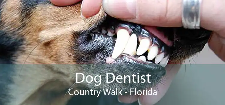 Dog Dentist Country Walk - Florida