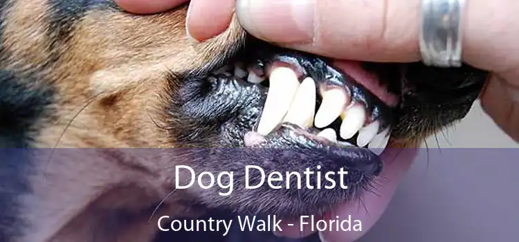 Dog Dentist Country Walk - Florida