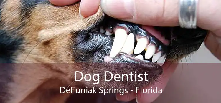 Dog Dentist DeFuniak Springs - Florida