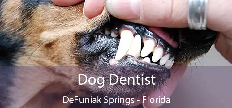 Dog Dentist DeFuniak Springs - Florida