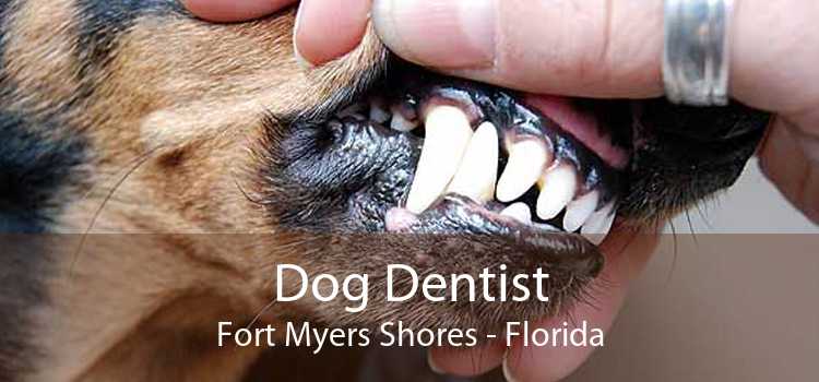 Dog Dentist Fort Myers Shores - Florida